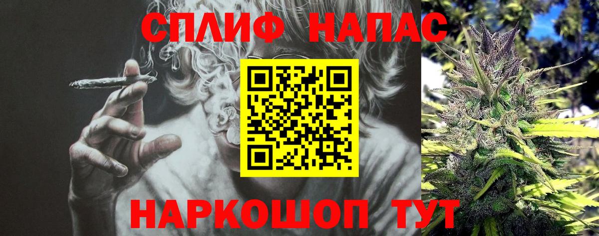 Бошки Шишки индика Ставрополь